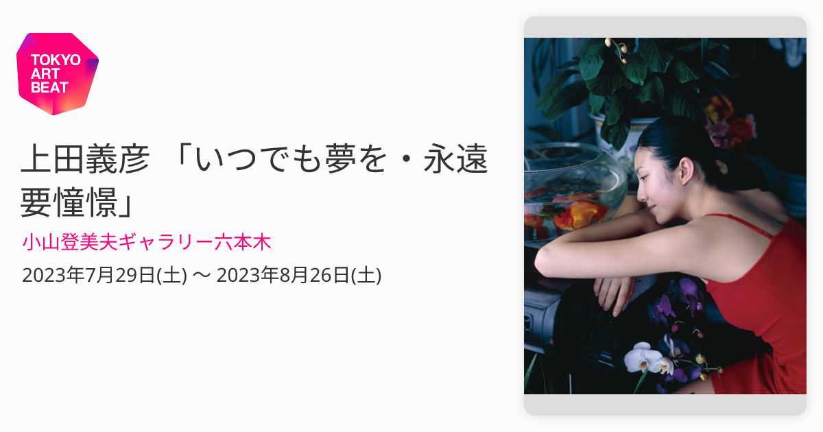 上田義彦 「いつでも夢を・永遠要憧憬」 （小山登美夫ギャラリー六本木