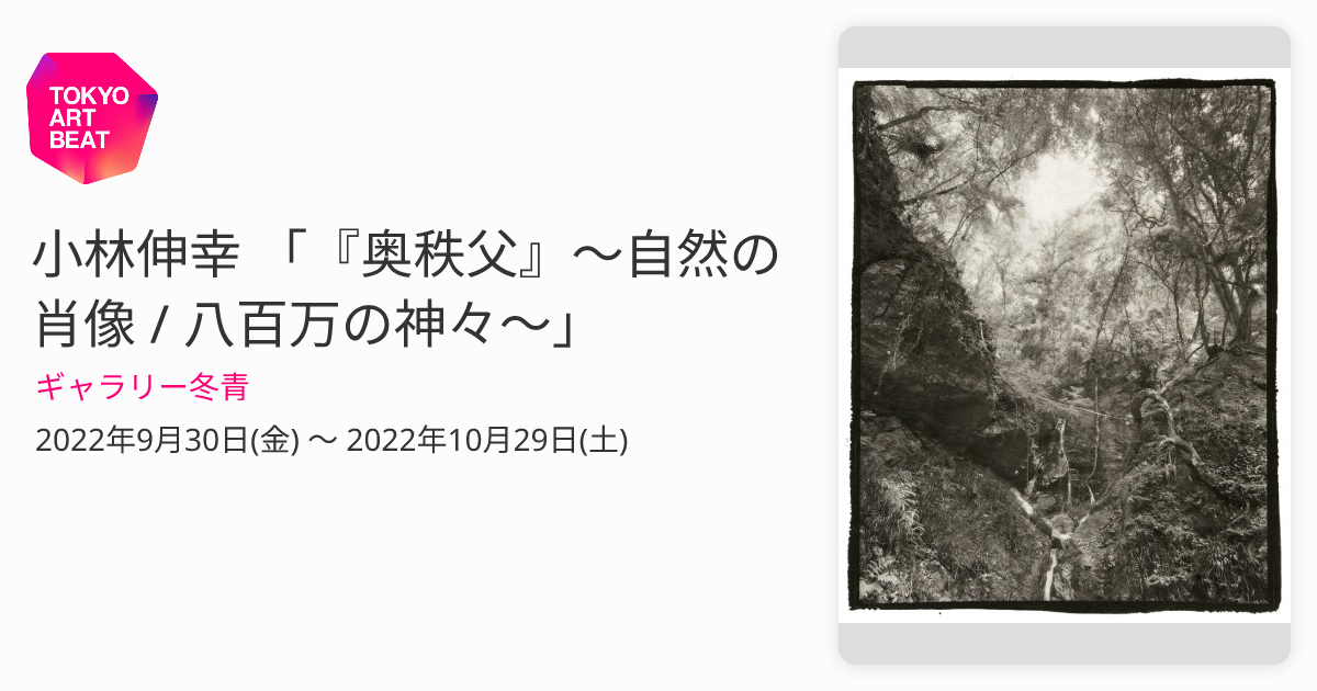 小林伸幸 「『奥秩父』〜自然の肖像 / 八百万の神々〜」 （ギャラリー