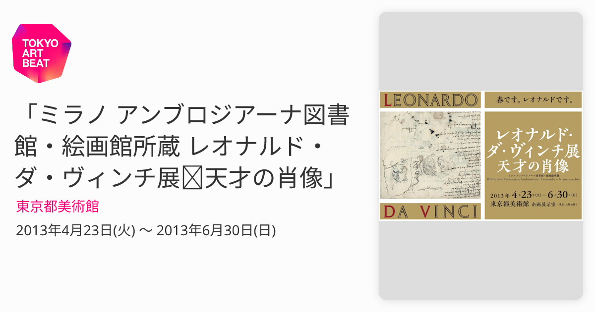 ミラノ アンブロジアーナ図書館・絵画館所蔵 レオナルド・ダ・ヴィンチ