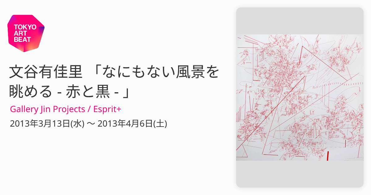 文谷有佳里 「なにもない風景を眺める - 赤と黒 - 」 （Gallery Jin Projects / Esprit+） ｜Tokyo Art  Beat