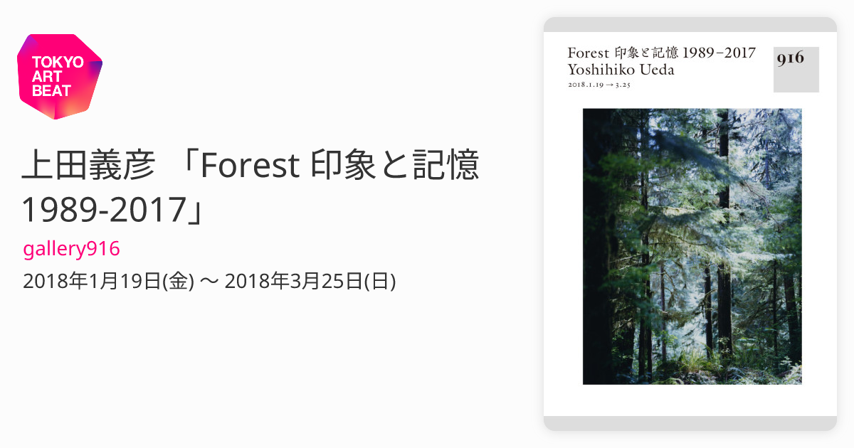 上田義彦 「Forest 印象と記憶 1989-2017」 （gallery916） ｜Tokyo Art Beat