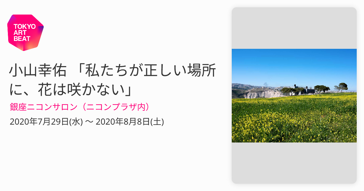 わたしたちが正しい場所に花は咲かない - 文学/小説